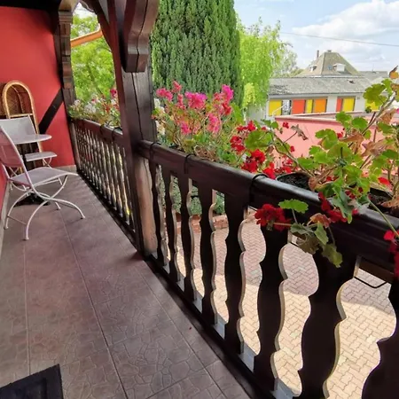 公寓 Le Duplex Du Ried A En Alsace Proche Europa Park
