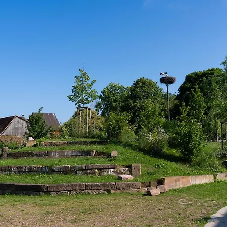 Le Duplex Du Ried A En Alsace Proche Europa Park 公寓