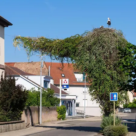 Le Duplex Du Ried à En Alsace Proche Europa Park