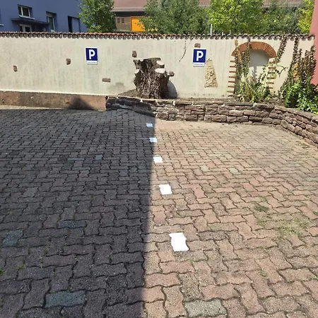 公寓 Le Duplex Du Ried A En Alsace Proche Europa Park Muttersholtz